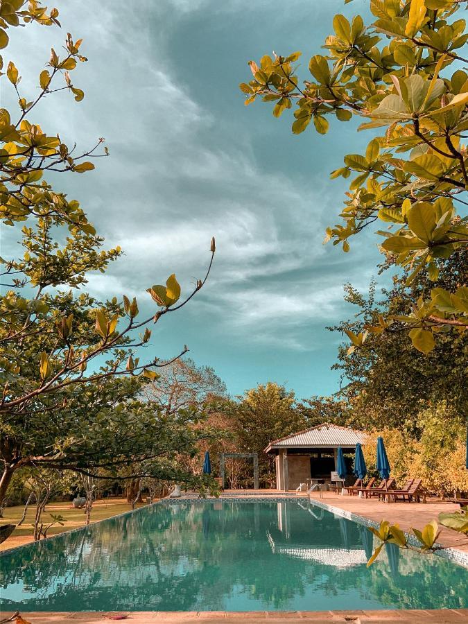 Amaara Forest Hotel Sigiriya Esterno foto